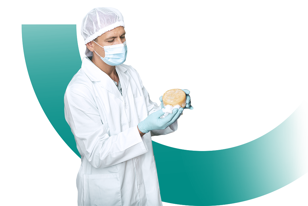 industrie agroalimentaire